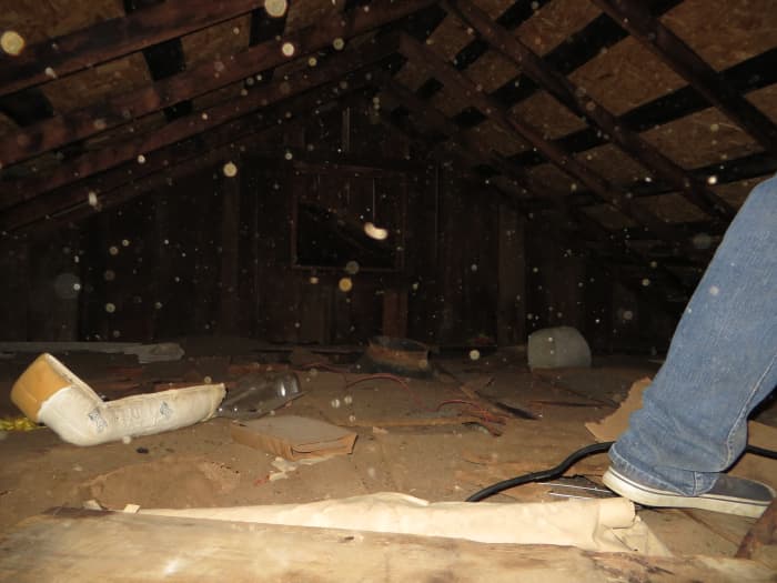 I was with others working on a project in the attic of an old 1950's home. Perhaps most of the orbs are particulates of dust or spores.