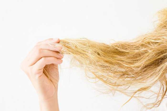 how-to-take-care-of-dry-frizzy-hair
