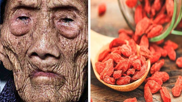 It is believed that Li Ching-Yuen's extensive knowledge of herbs helped him to find various properties that can increase one’s longevity