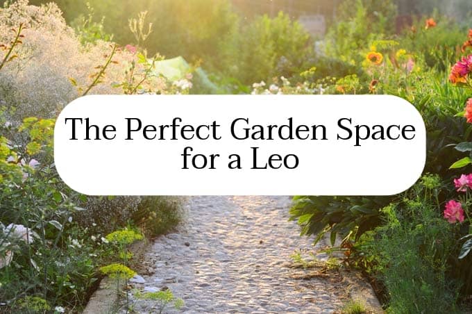 A Leo garden space should be inviting, energetic, and colorful. Leo wants a space that's exciting and rejuvenating. There should be a variety of plants and space to sprawl out and relax.
