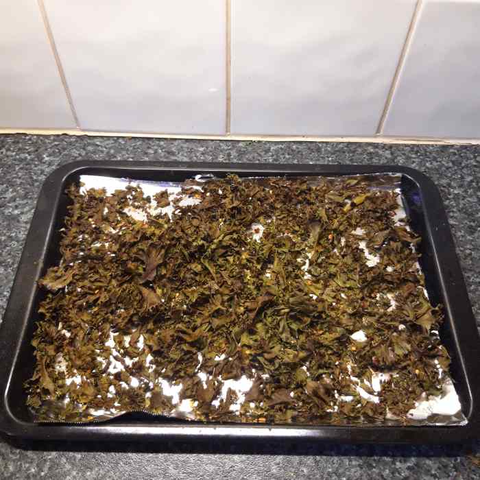 Delicious crispy kale leaves, fresh from the oven