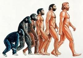 Evolving to human; There are good reasons to believe that slowly evolution has helped in making man the way we are, with the help of God of course, since God is the essence of all existing life of the universe.