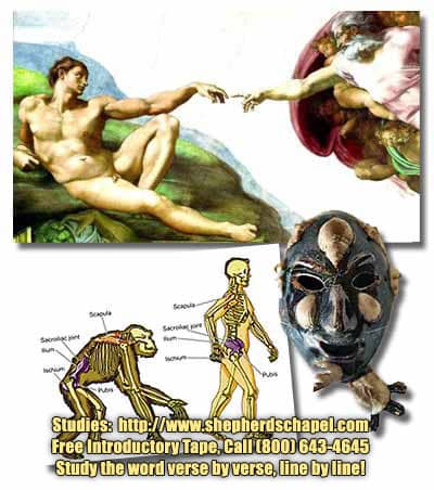 Did God start us from scratch or did he use a humanoid that was already living on earth as the first man on earth as Adam?