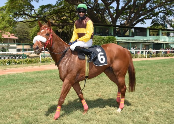 Rule Of Engagement, with Champion Apprentice Jockey Arul JH up trained by K Pradeep Annaiah and owned by Rajan Aggarwal and Gautam Aggarwal