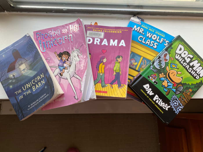 These are some of our favourite books! Most are graphic novels. Chose books that highlight your child’s interests. My daughter loves unicorns, so those are most popular for us. Author Raina Telgemeier presents content for the pre-teen.