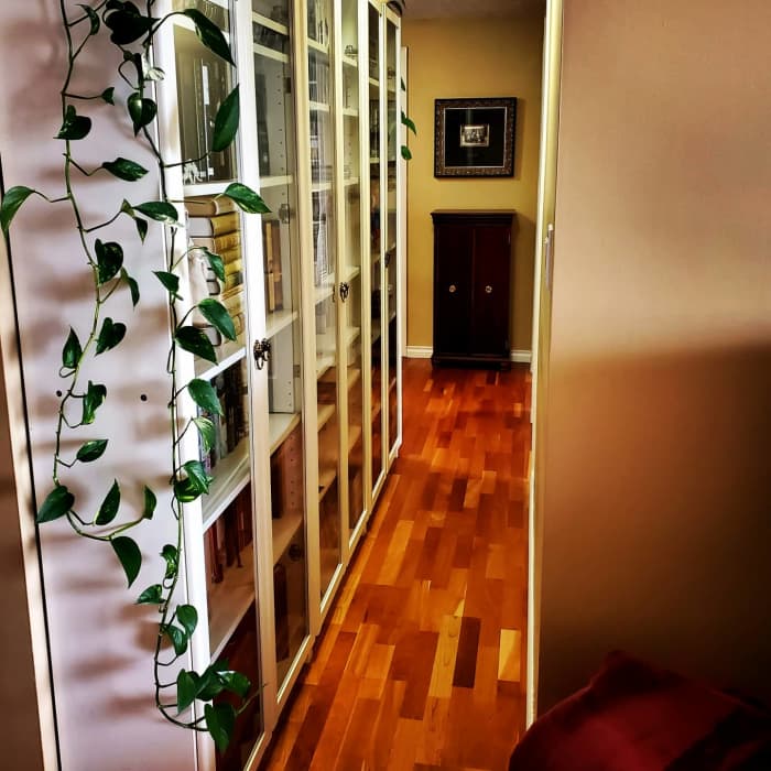 The Shelving Factor. This long hallway is wide enough for shelving. These IKEA Billy bookcases have lasted us over 20 years.