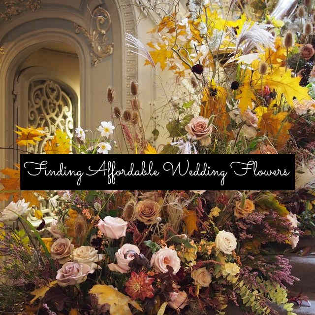 You don't have to spend an arm and a leg on flowers. You can get wedding flowers at an affordable price. Flowers can also be used for centerpieces and cut the cost of decorations. Buy flowers native, buy from a professional, and buy in season.