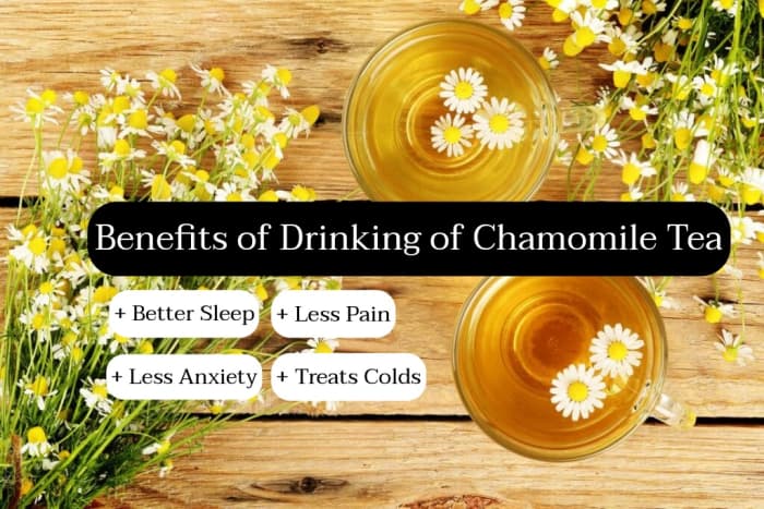 Chamomile tea is excellent to drink right before bed. Chamomile helps you sleep, it relaxes you, and it helps lower your anxieties.