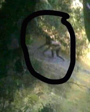 Viral photo of the alleged Banutok taken on Jan 17, 2020 in Maganoy Sultan Kudarat