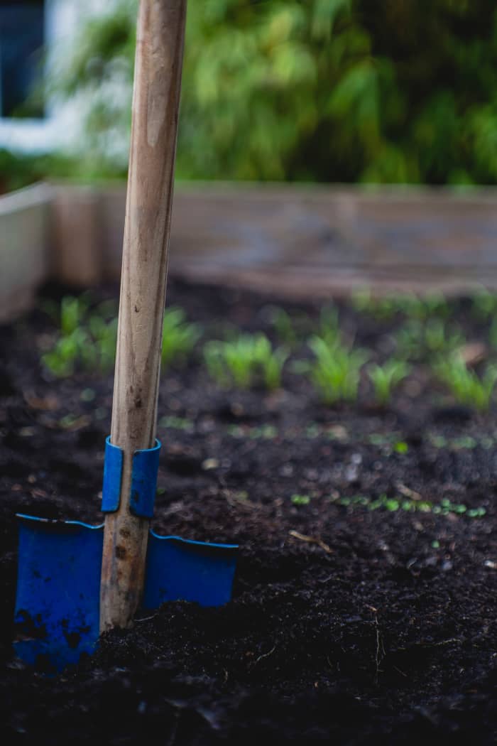 Design your nursery seedbeds based on your specific needs. Generally, however, seedbeds are 1.5 meters wide.