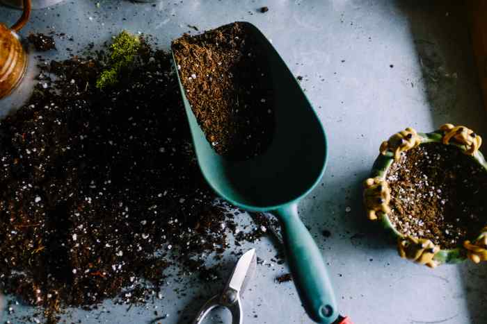 Understanding soil components and choosing the correct mixture for your bonsai is extremely important.