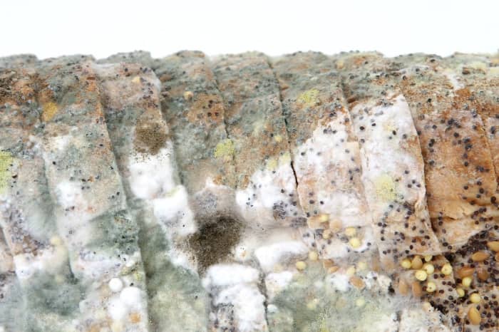 Spores from fungi (like mold) and the crumbly timber fragments are just another contributor to our dust constituent list.