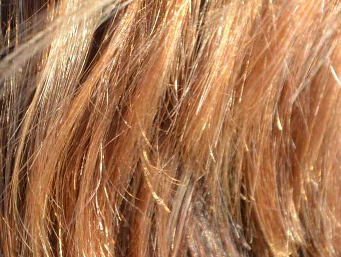 Where Does Dust Come From? 12 Sources of Household Grime Dengarden