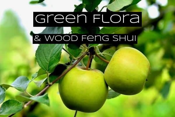 Green flora is essential in a feng shui garden section meant for the wood element. You can add green flowers, trees, shrubs, fruits, and vegetables.