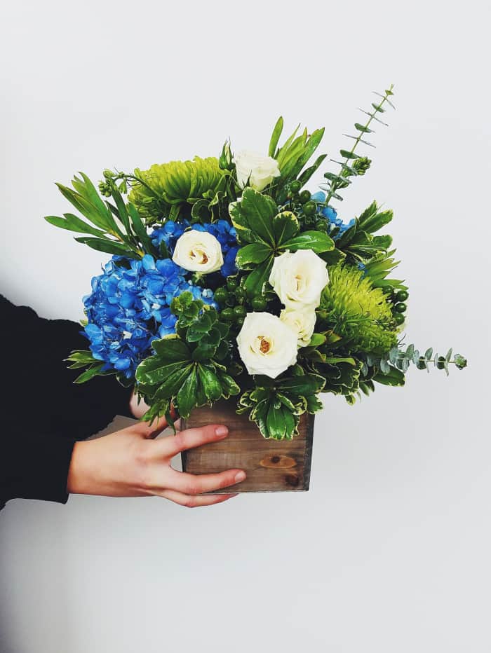 Why Aren't My Hydrangeas Blooming? (7 Reasons and Solutions) Dengarden