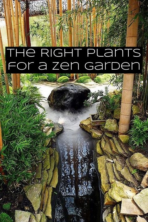 There shouldn't be too many plants in your zen garden. You want the space to focus more on rocks. Suggested plants include: bamboo, azaleas, bonsai trees, and Japanese maples.