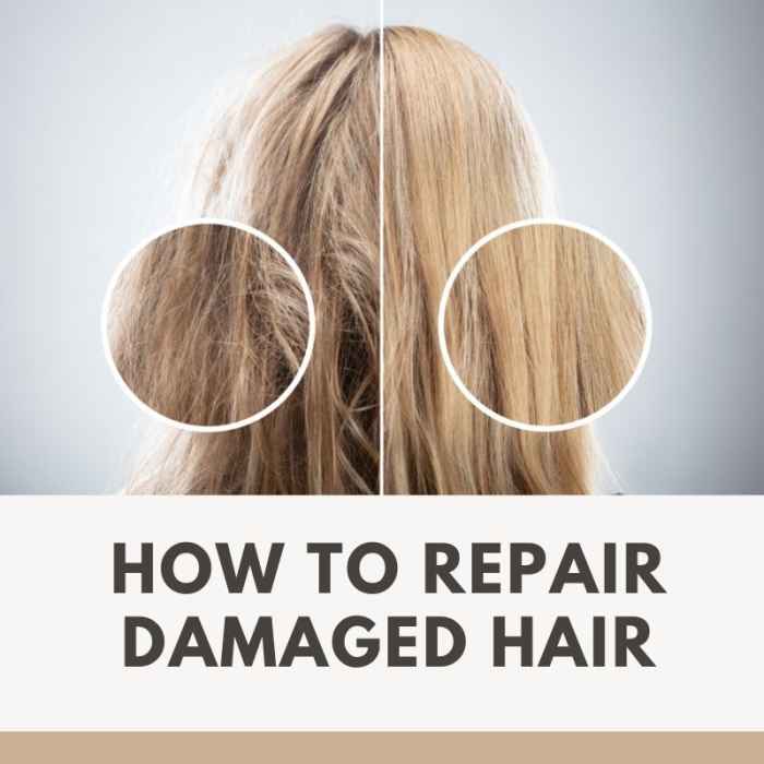 Read on to learn how to fix your damaged hair.