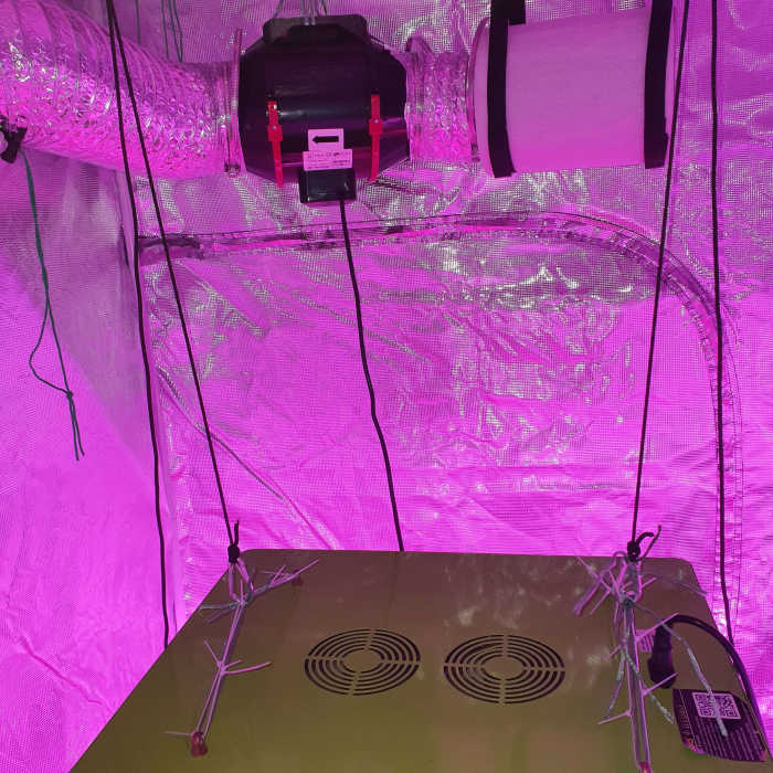 How to Get a Cheap Indoor Grow Tent Setup? HubPages