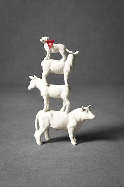 The stability of the bull, the modesty of the donkey, the purity of the sheep, and the loyalty of the dog.