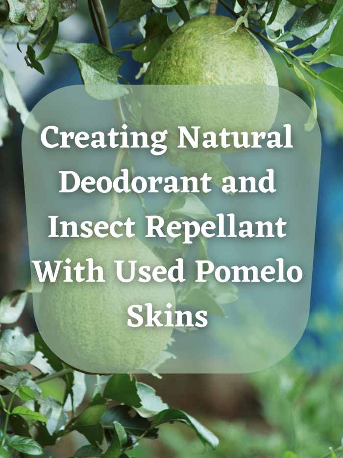 Turn Pomelo Skins Into Deodorant and Insect Repellent Dengarden