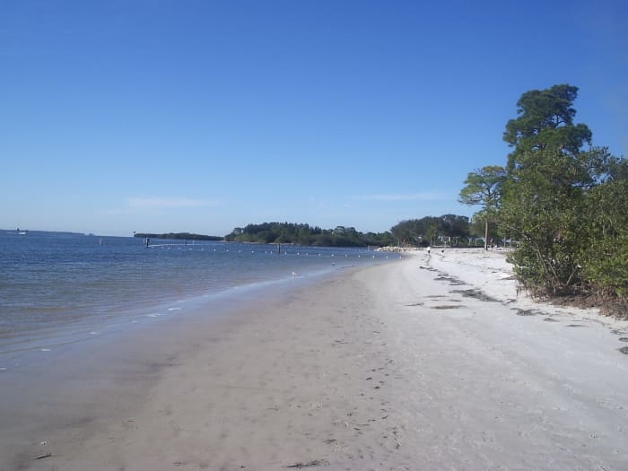 Anclote River Park in Pasco County has a long stretch of beach for people of all ages to enjoy.