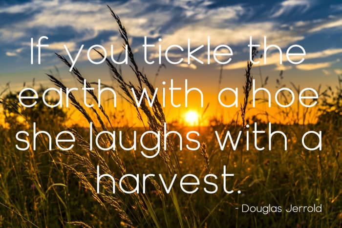 "If you tickle the earth with a hoe she laughs with a harvest." - Douglas Jerrold, English dramatist