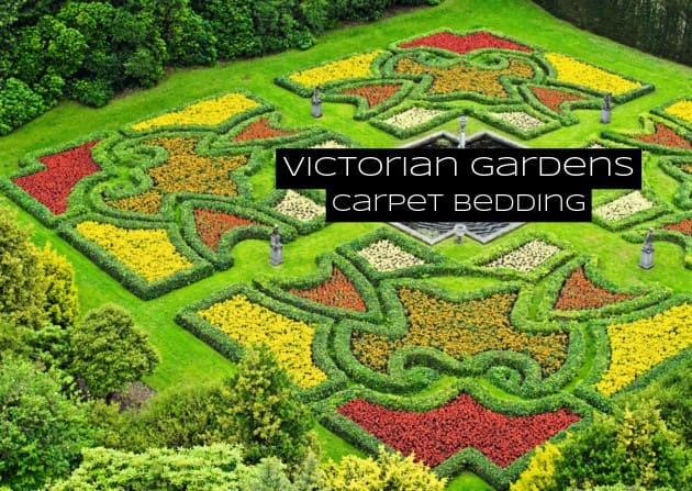 Carpet bedding was a popular way to design flowers in the Victorian Era. Color was everything. You wanted your flowers to be bright and eye-catching.