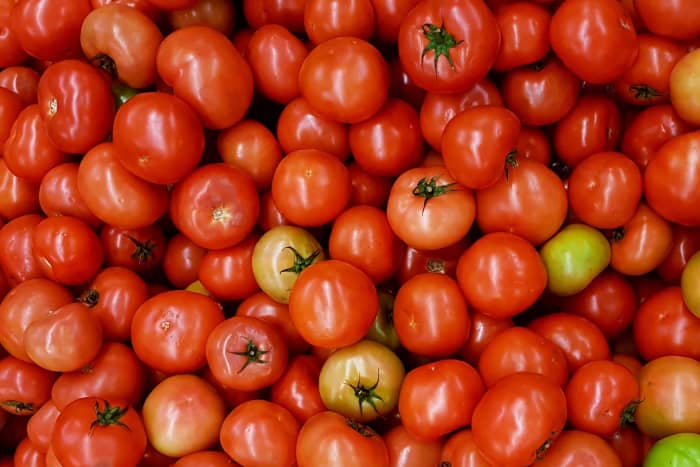 Determinate tomato plants will produce heaps of tomatoes all at once, which may be overwhelming if you aren't planning on canning.