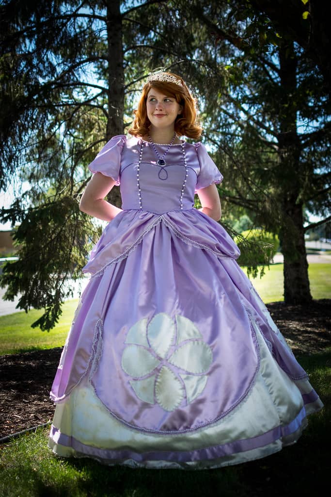 Sofia the First Birthday Party - HubPages