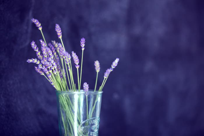Beyond insomnia, lavender helps with joint pain and headaches!