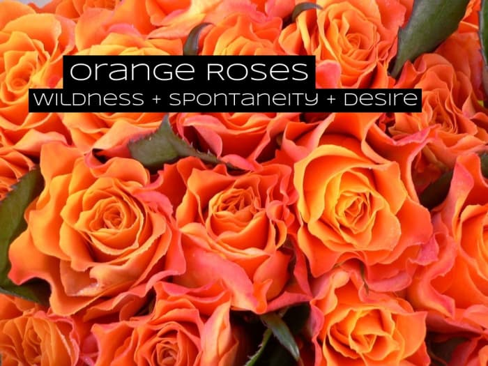 Orange roses are for wildness, excitement, and spontaneity. These are perfect flowers for your crush.