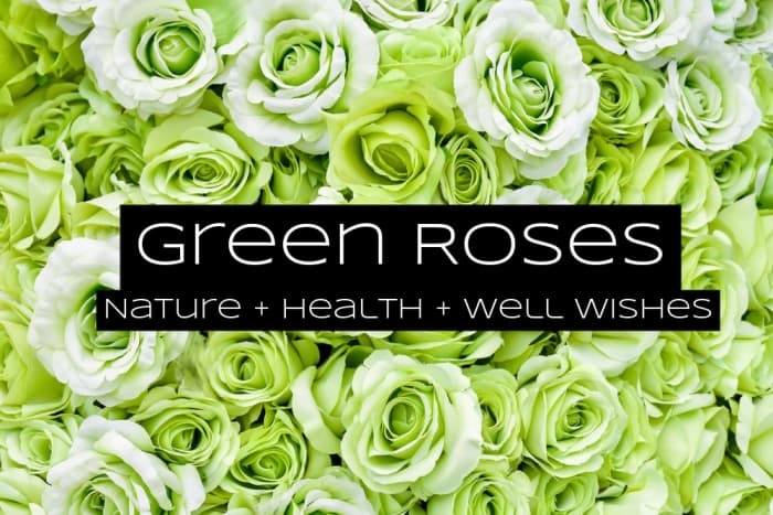 Green roses are for those who love nature. These are often sent to people who are recovering from sickness.