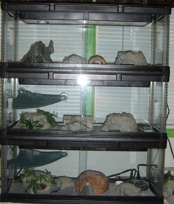 Stackable caging system with carpet substrate. Simple layout with multiple hides and humide hides. Great designs. Examples of fake rock are also seen.