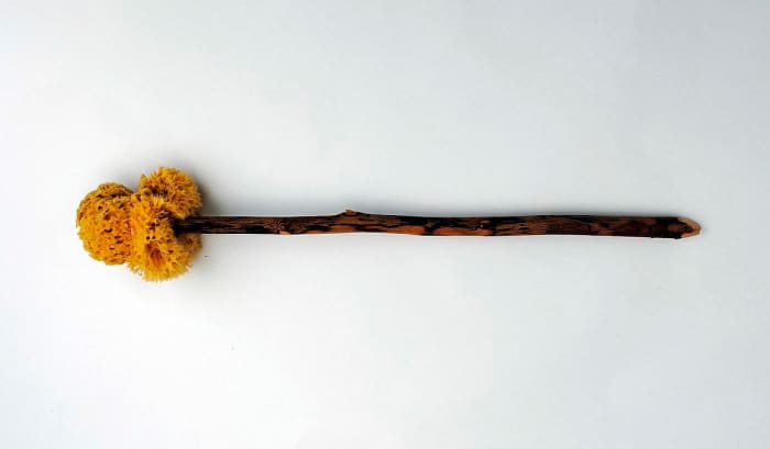 Ancient Romans used a tool, called ‘xylospongium’ to clean their butts. There were often only a few of these rank sponges in each toilet.