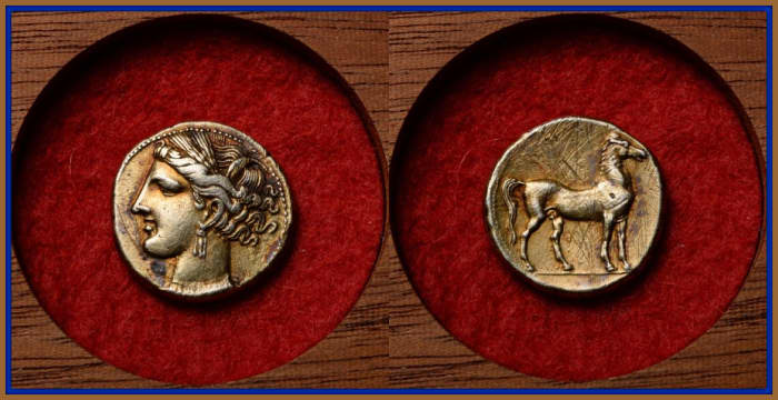 The obverse with the portrait of the chief goddess of Carthage, Tanit. She is shown facing left, wearing triple drop earring and necklace, her hair tied up with a wreath of grain. The reverse with horse standing facing right.