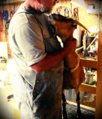 Several of Mr. James' goats give kisses, too. Be careful--they smell unpleasant. Mr. James tells them, "Just hugs, no kisses."