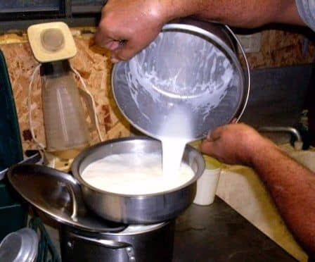 Mr. James pours the milk from the milker pail into a 2-gallon stock pot, using a filter and strainer.