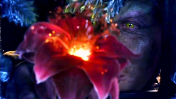 The man who steals that creature gives it to another man. There was a glowing flower on his clothes, and that man took that flower. He gives them money in return for these things.