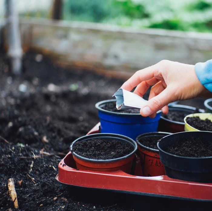 Ensuring that your soil has the essential nutrients and trace minerals it needs will help you grow the most delicious veggies.