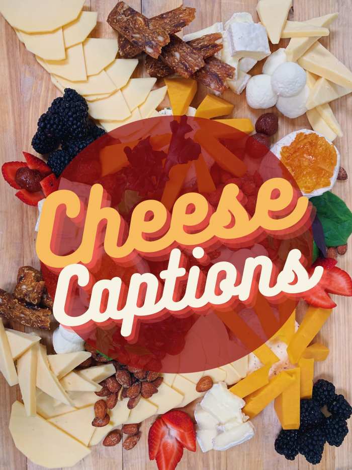 150+ Cheese Quotes and Caption Ideas for Instagram TurboFuture