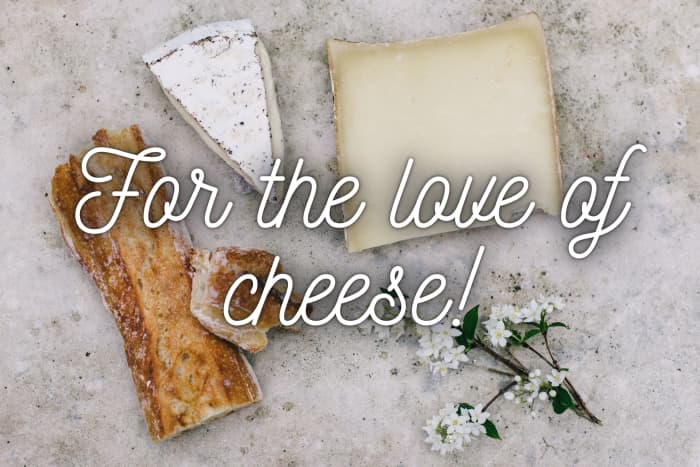 150 Cheese Quotes And Caption Ideas For Instagram TurboFuture