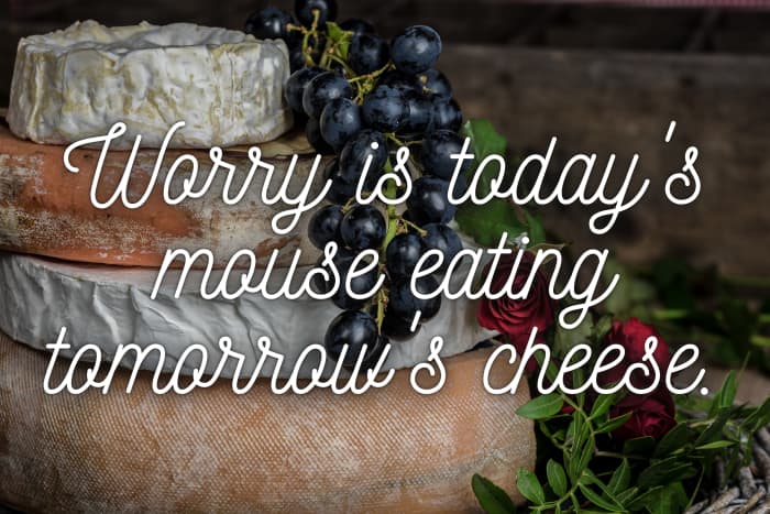 150+ Cheese Quotes And Caption Ideas For Instagram - TurboFuture