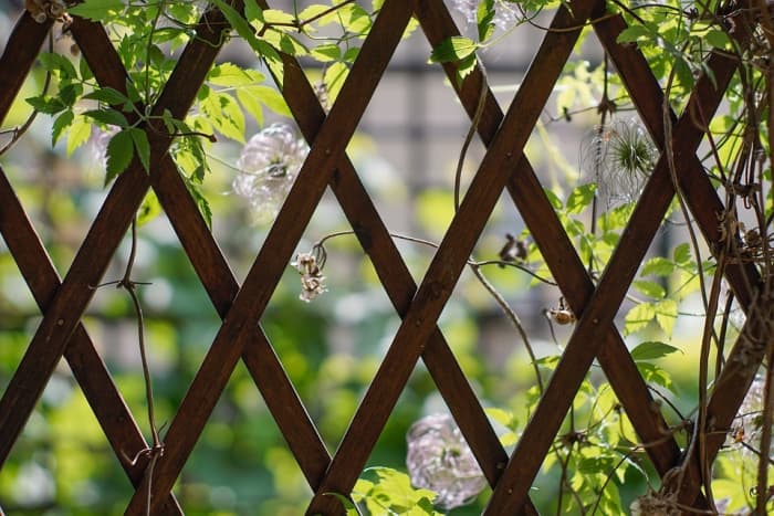 The view looking through a trellis placed against the balcony railing can be quite peaceful and private at the same time.