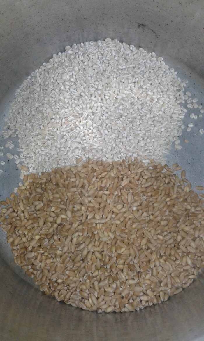 In pot, add barley and wheat. Wash them. Add water, salt, and some oil. Take a boil and off the flame. Cover the lid and soak overnight.