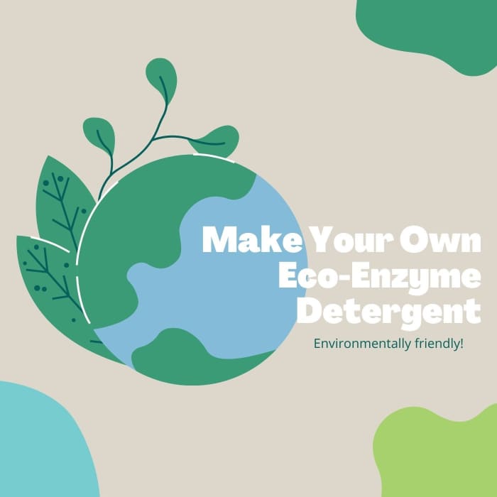 DIY enzyme laundry detergent is simple to make and effective. Bes of all, it's eco-friendly and inexpensive! Read on to discover how to make detergent enzymes.
