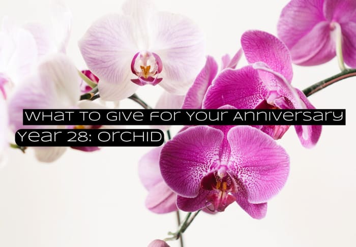 Orchids are beautiful. They're treasured around the world. They're depicted in beautiful paintings in Japan, and they're considered exotic and charming in other parts of the world.