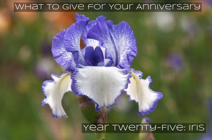 25 even is the silver anniversary. It's for silver wreath crowns. It's for the iris, and the goddess Iris who guides people to a paradise.