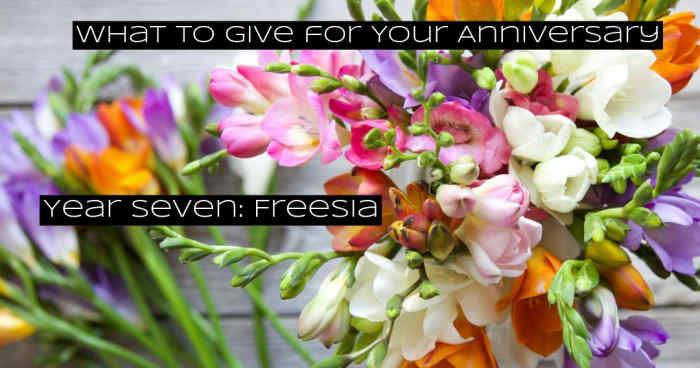 Freesia flowers are beautiful. The flowers remind you to persevere, to be more vulnerable, to allow yourself to bend.