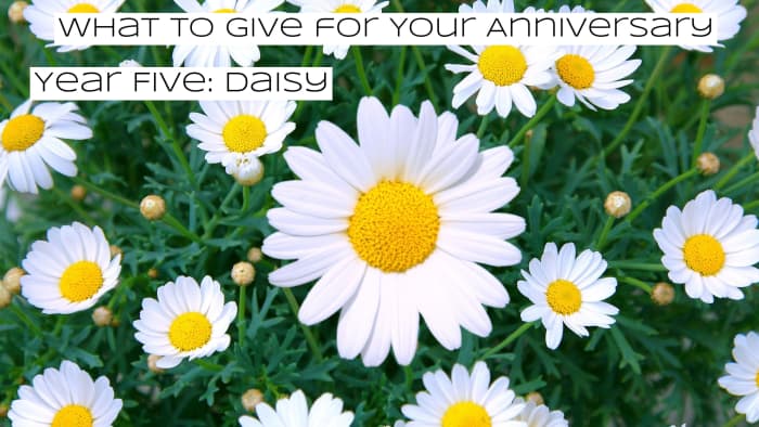 A common flower, but the symbology behind it is precious. The daisy represents heartbreaks: losing children, infertility, and miscarriages. Daisies remind us that life and good times will still find a way.