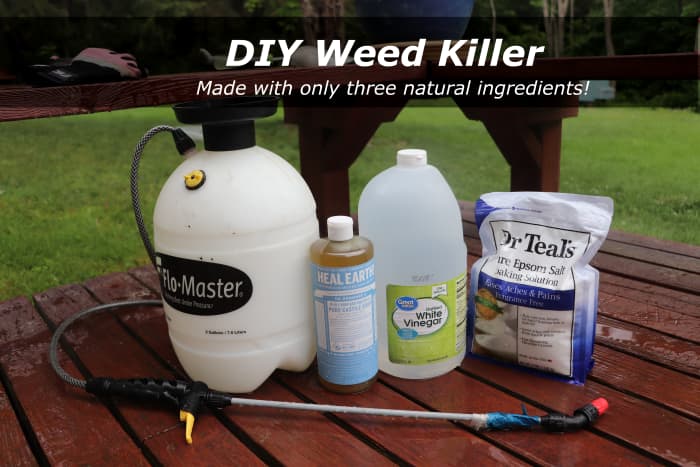 how-to-get-rid-of-weeds-naturally-with-homemade-weed-killer-dengarden